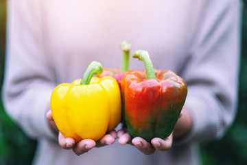 A woman holding a fresh bell peppers in hands