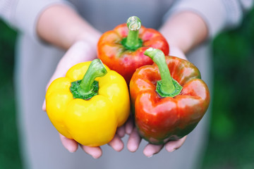 A woman holding a fresh bell peppers in hands