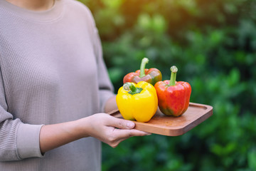 A woman holding a fresh bell peppers in a wooden tray © Farknot Architect