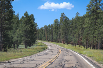 Scenic Road to North Rim Grand Canyon