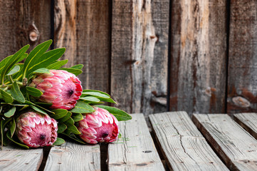 Three protea flower stalks on a rustic wooden table with space for copy