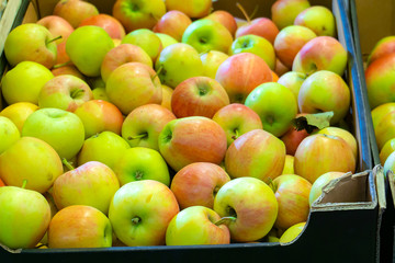 Apples in boxes in a supermarket on a store counter for sale.