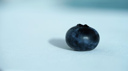 fresh blueberry on white background