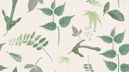Foto op Plexiglas Flowers and foliage seamless pattern, various leaves and flowers in green on light brown, pastel vintage theme © momosama
