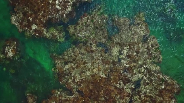 Aerial view: Top-Down perspective on pacific reef