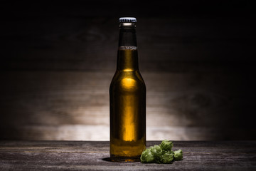 beer in bottle with hop on wooden table in darkness with back light