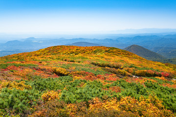 栗駒山紅葉神の絨毯