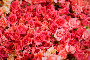 Fake flower and Floral background. rose flowers made of fabric. The fabric flowers bouquet. Colorful of decoration artificial flower