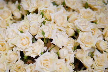 Fake flower and Floral background. rose flowers made of fabric. The fabric flowers bouquet. Colorful of decoration artificial flower