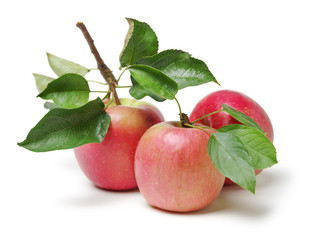 Red apples isolated on white background