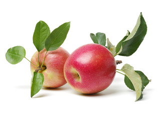 Red apples isolated on white background
