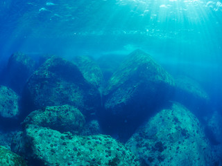  undersea