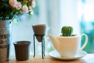 Cactus and arrangement in the house look beautiful