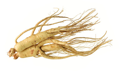 ginseng isolated on white background
