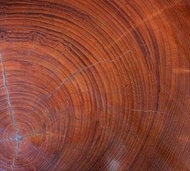 Fototapeta premium cherry wood background