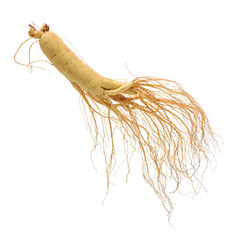 ginseng isolated on white background
