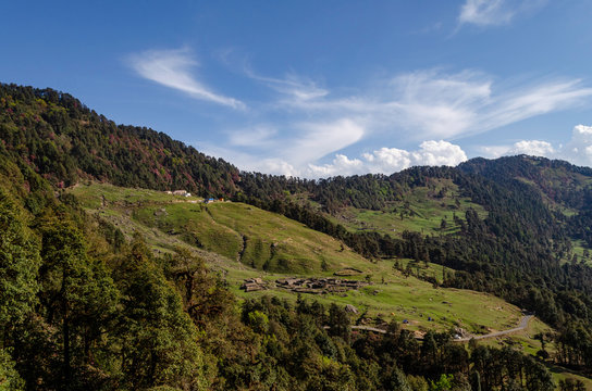 Lush green high altitude medows near  Chopta,Uttarakhand,India