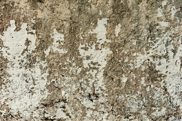 Texture of a concrete wall with cracks and scratches which can be used as a background