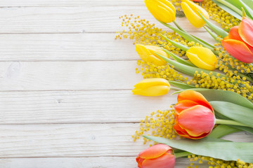 tulips and mimosa on white wooden background