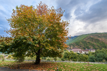 Bhutan king's residence with autumn leaves