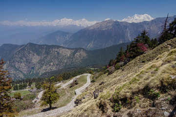 Road to Tungnath Peak near  Chopta,Uttarakhand,India