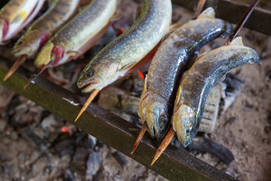 680 最適な 魚串焼き 画像 ストック写真 ベクター Adobe Stock