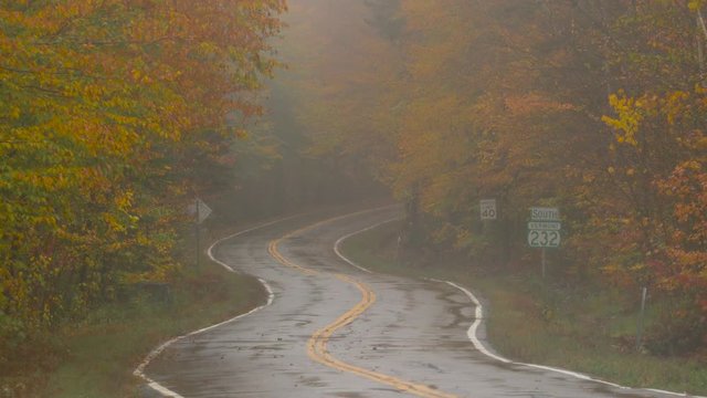 Windy rural VT backroad, fall foliage and fog, tripod static