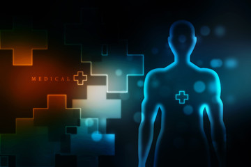 2d illustration Human Male Muscle Body