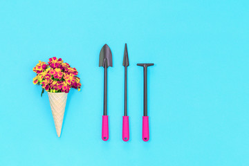 Fototapeta na wymiar gardening tools and flowers on blue background