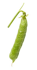 Fresh peas isolated on white background 