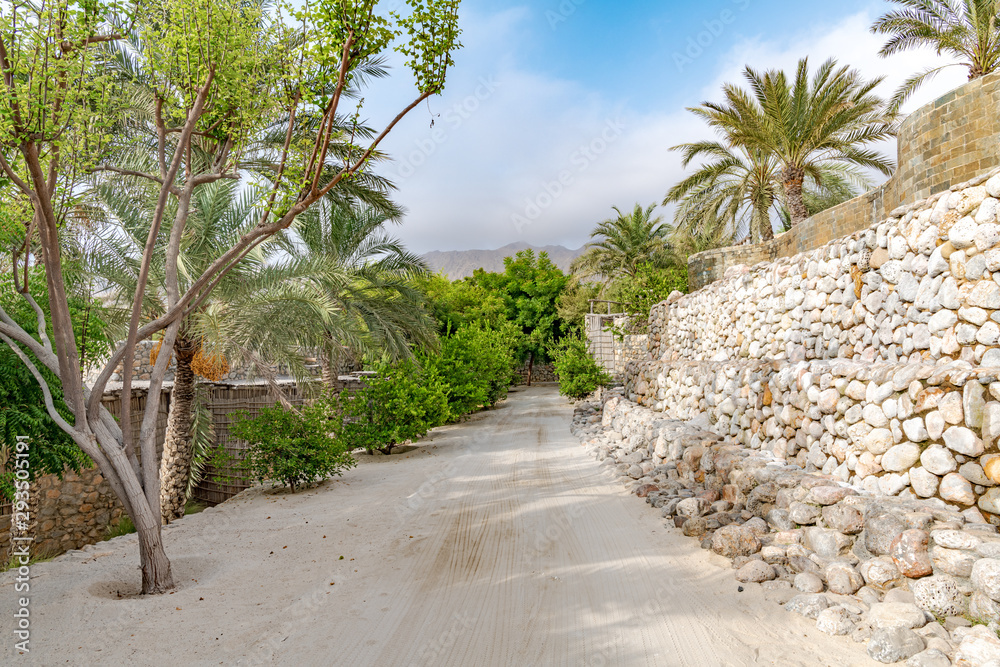 Sticker omani oasis at zighy bay in musandam, oman.