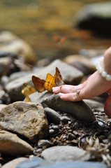 Natural tiger ghost on hands