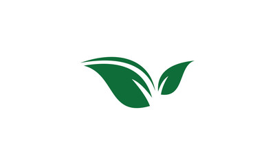 green leaf icon