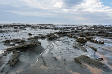 Fototapeta na wymiar Coastline in the Flat Rocks area of Bunurong Marine and Coastal Park in Victoria, Australia