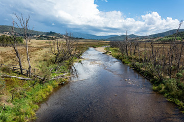 View over Howqua River in Victoria, Australia.