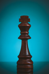 chess pieces on the chessboard