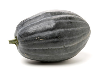 butternut squash on white background