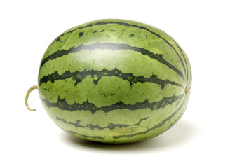 watermelon on white background 