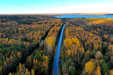 Vineyards in autumn.Autumn forest, the road going to the beach, shooting with a drone.