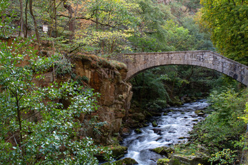Fototapeta na wymiar Brücke über den Fluss im Bodetal im Harz 