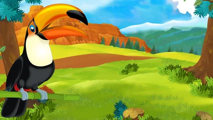 Fototapeten cartoon scene with happy toucan sitting on some branch and looking - illustration for children © agaes8080