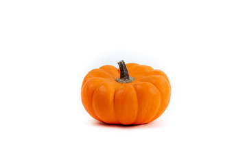 Pumpkin isolated on white background copy spase