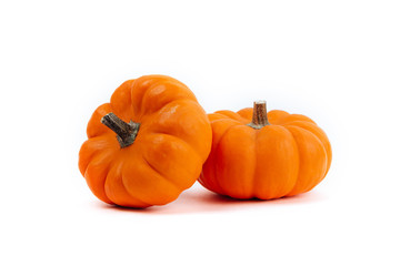 Pumpkins isolated on white background copy spase