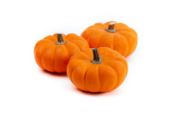 Pumpkins isolated on white background copy spase