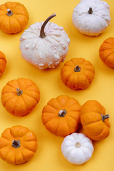 Halloweeen theme with a pumpkins on a yellow background
