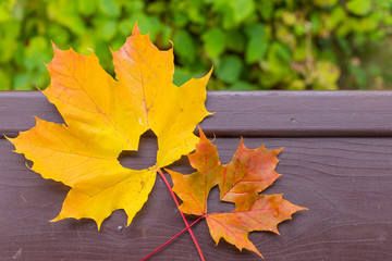 Autumn red and orange leaf with heart. Fall love.Hello October,november. autumn atmosphere background. maple leaves, heart. autumn time concept, fall season.