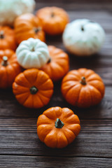 Diverse assortment of pumpkins on a wooden background. Autumn harvest.