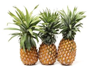 Pineapple on a white background 