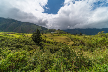 Fototapeta na wymiar Mashpi Ecological Reserve, Ecuador, Highlands, Cloud Forest