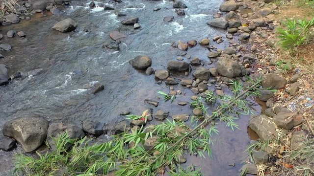 tilt up motion of dron flying along forest river with tall trees in padeglang banten indonesia. clear water and roc